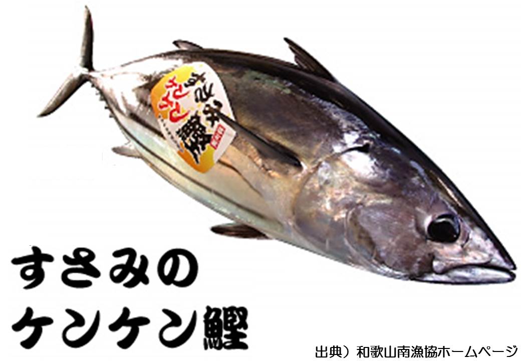 ケンケン釣りカツオ 和歌山県 全国のプライドフィッシュ プライドフィッシュ
