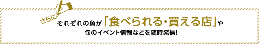 さらに、それぞれの魚が「食べられる・買える店」や旬のイベント情報などを随時発信！