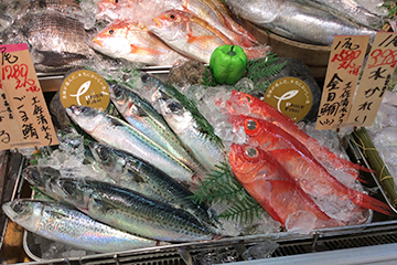 売り場に並ぶ高知の地魚