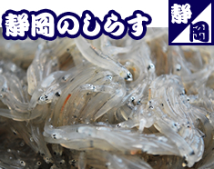 静岡のしらす