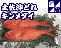 土佐沖どれキンメダイ