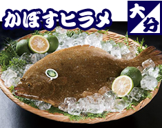 かぼすヒラメ