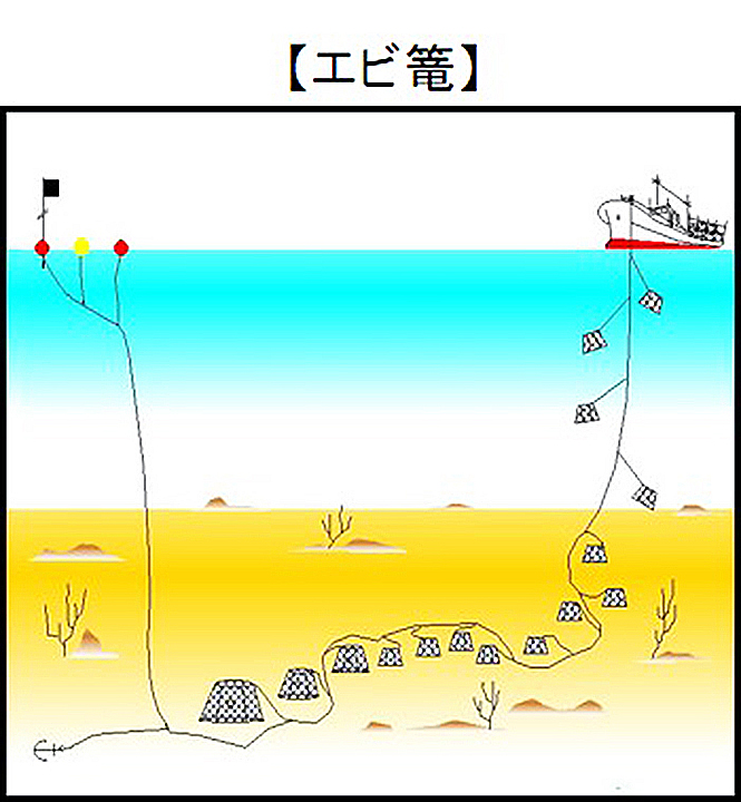 南蛮エビ 新潟県 全国のプライドフィッシュ プライドフィッシュ