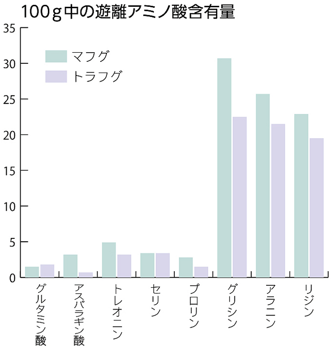 萩のまふぐ 山口県 全国のプライドフィッシュ プライドフィッシュ