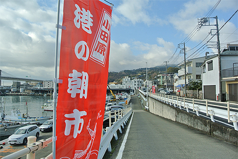 小田原・港の朝市