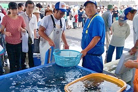 地どれ魚直売会