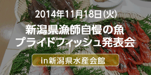 新潟県漁師自慢の魚「プライドフィッシュ」発表会